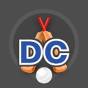 Delhi Capitals IPL Logo Design