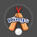 Karachi Kings PSL Logo